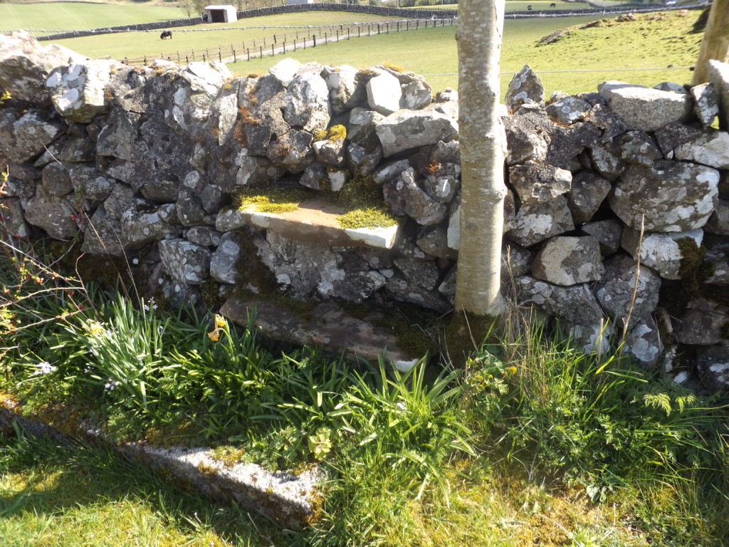 Mauer mit Stufe